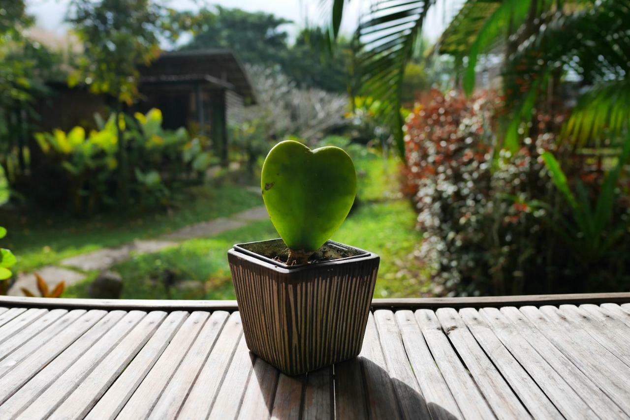 Love Pai Home Buitenkant foto